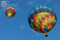 5D_05363