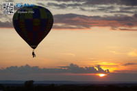 5D_05554
