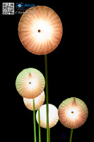 5D_09743