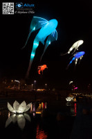 5D_60358