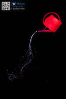 5D_75408