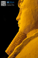 5D_21670