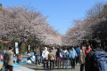 G5_3356.jpg