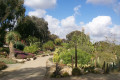 desert_garden.jpg