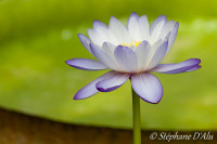 5D_03537