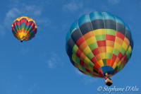 5D_05363