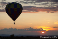5D_05554