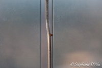 5D_32837