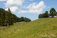 5D_36902