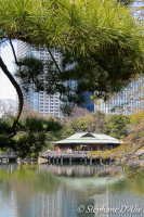 Sumida park