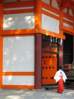 Invitation to Japan