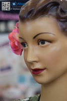 5D_50150