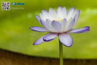 5D_03537