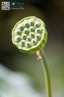 5D_03579