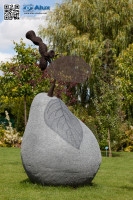 5D_06221