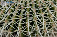 5D_06230