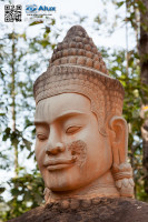 5D_63870