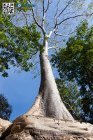 5D_65497