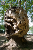 20D05117