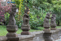 5D_83509