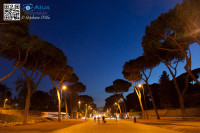 5D_42727