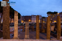5D_44263