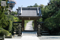 G5_5357