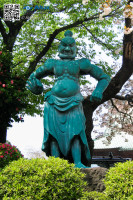 G5_5571