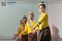 5D_88720