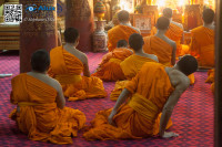 5D_90687