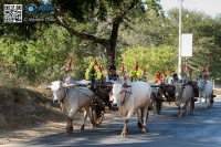 G16a3973
