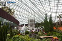 5D_82239