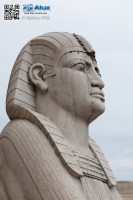 5D_37209