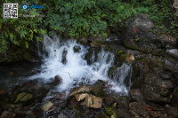 5D_94329