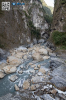 5D_94435