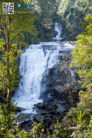 5D_60849