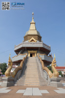 5D_87674
