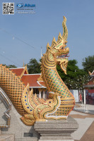 5D_87675