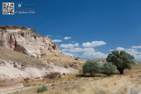 5D_54079