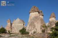 5D_54239