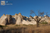 5D_54294
