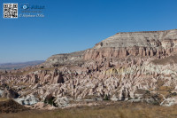 5D_54529