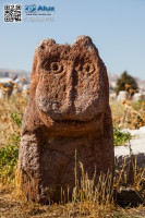 5D_55265