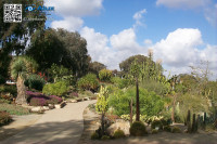 desert_garden